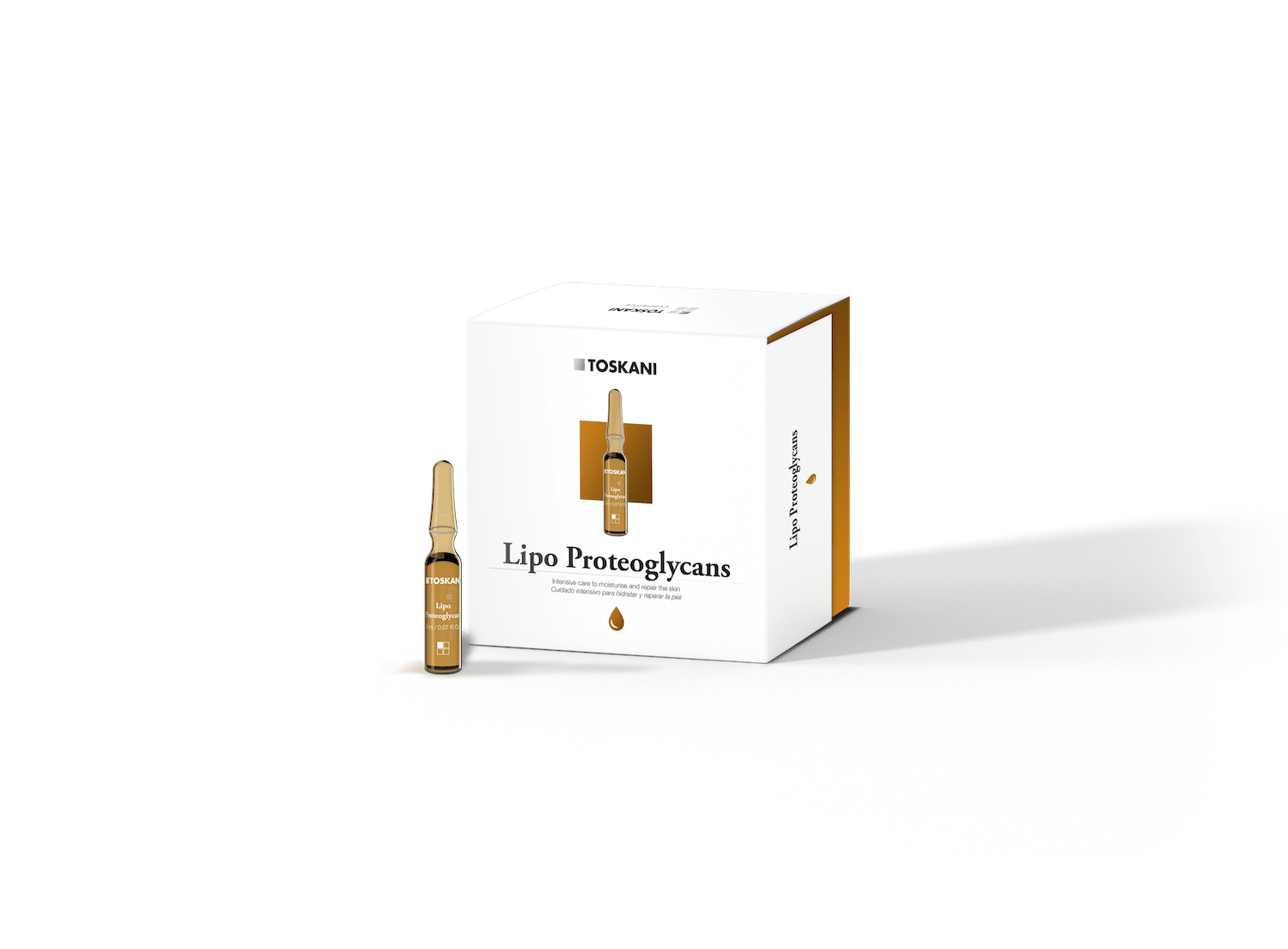Lipo Proteoglycans Ampulle